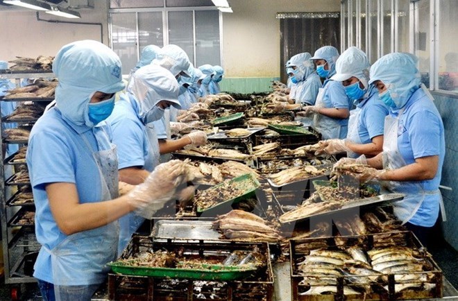 附圖：2018年前兩月越南水產(chǎn)品出口額同比增長(cháng)近30%。（圖片來(lái)源：越通社）